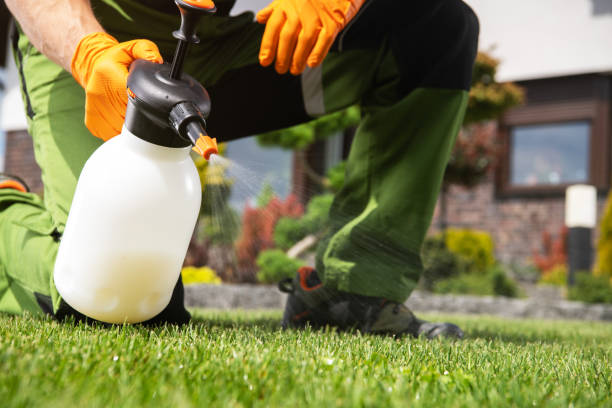 Best Emergency Pest Control  in Auburn, CA