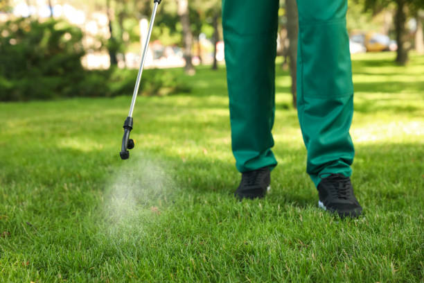 Best Best Pest Control Companies  in Auburn, CA