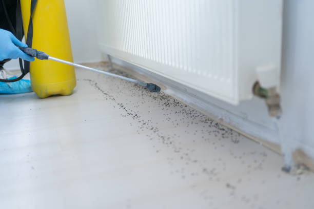 Best Pest Control for Restaurants  in Auburn, CA